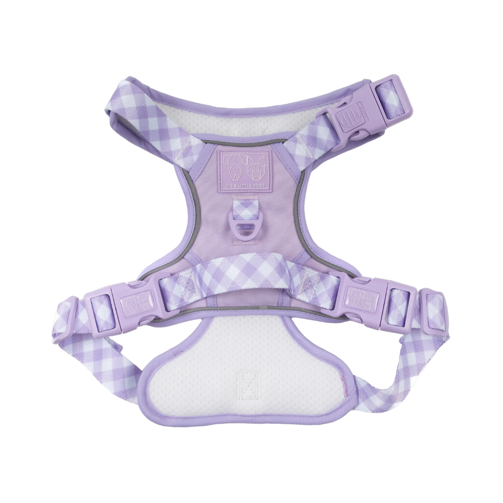 Big & Little Dogs all-rounder harness | Purple