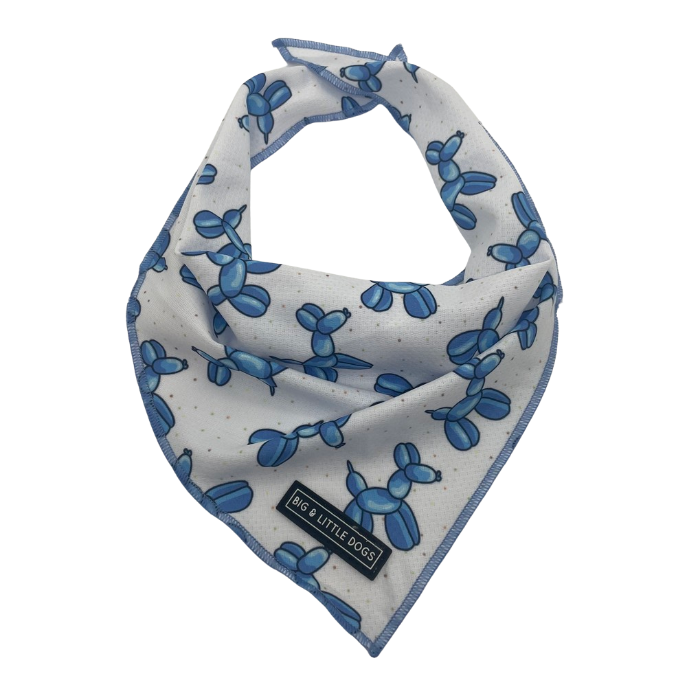 Big and Little Dogs bandana - Blue balloon dogs