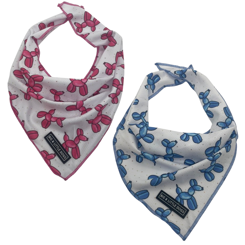 Big and Little Dogs bandana - Balloon dogs