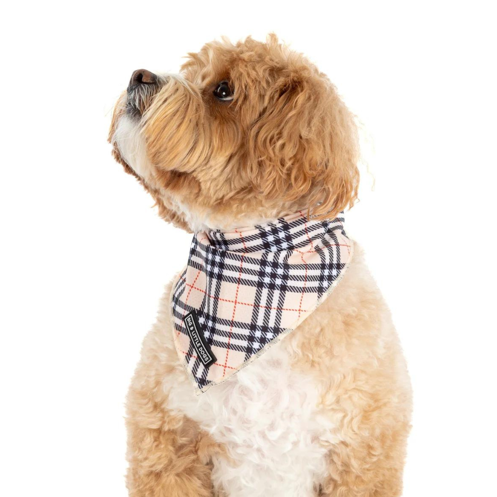 Big and Little Dogs bandana - Nova plaid