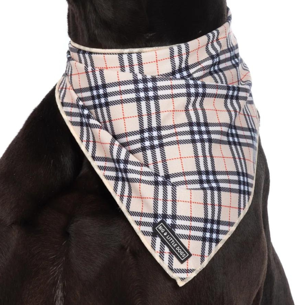 Big and Little Dogs bandana - Nova plaid