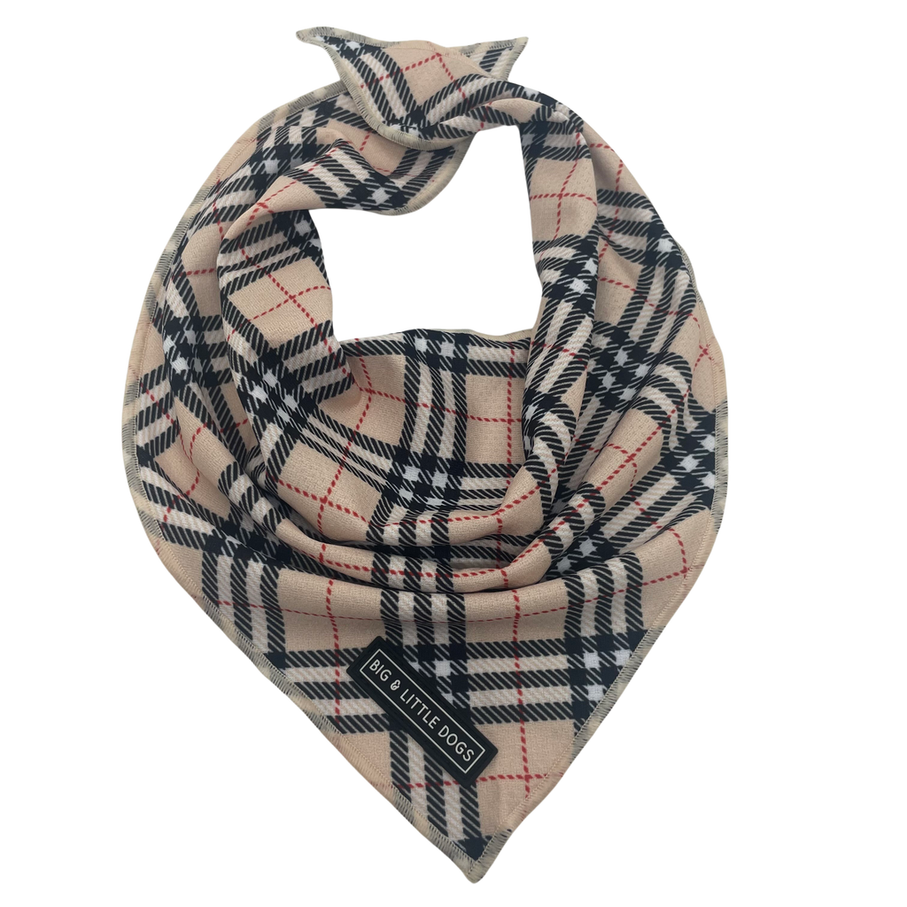 Big and Little Dogs bandana - Nova plaid