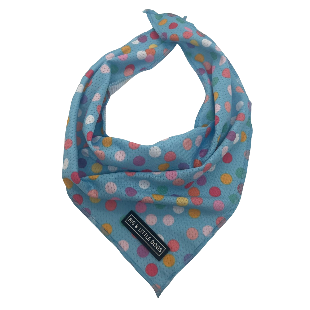 Big and Little Dogs bandana - Blue confetti