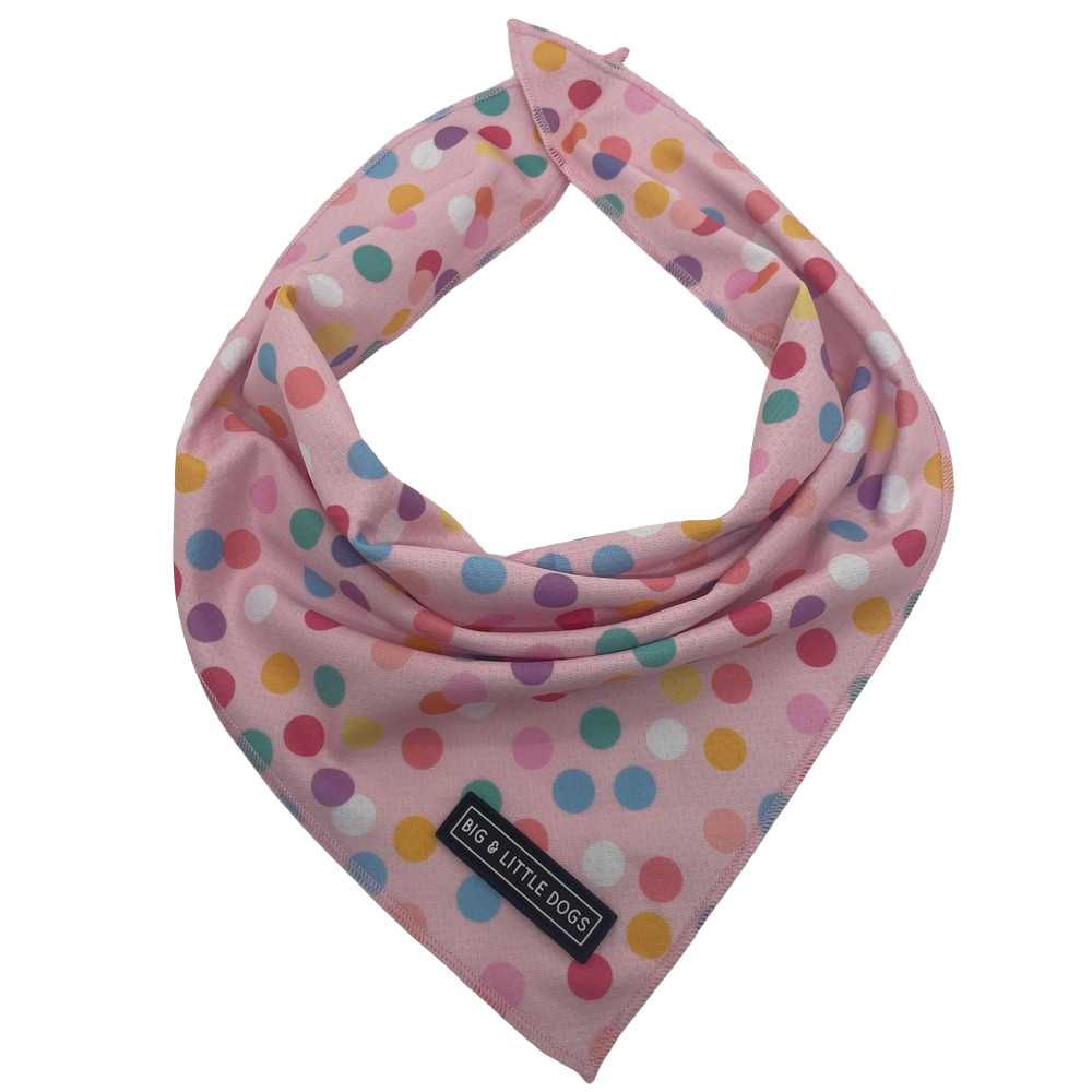 Big and Little Dogs bandana - Pink confetti