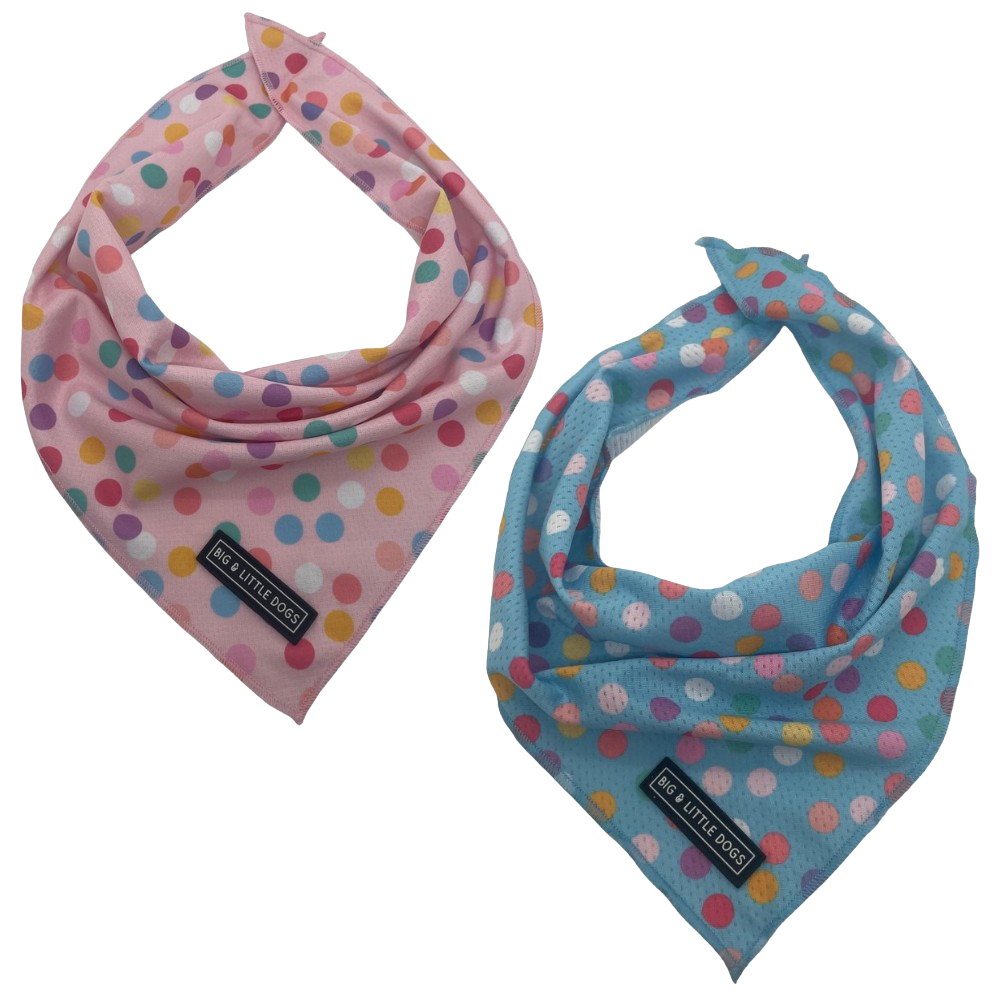 Big and Little Dogs bandana - Confetti