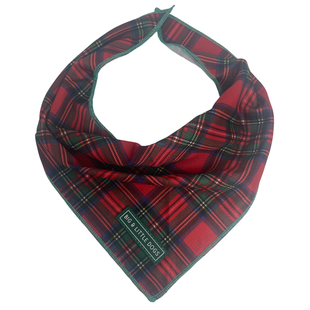 Big & Little Dogs festive tartan bandana