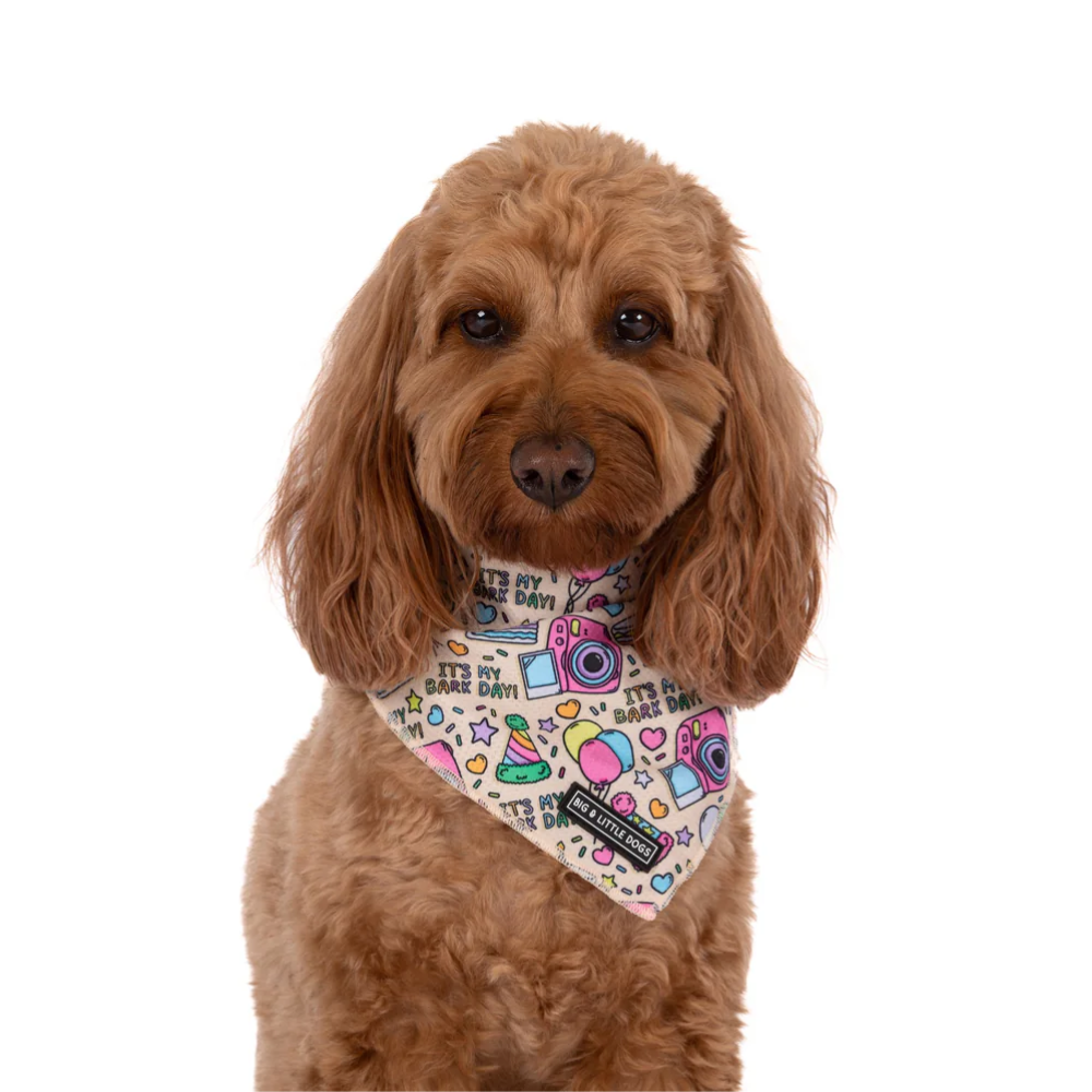 Big and Little Dogs it's my barkday bandana