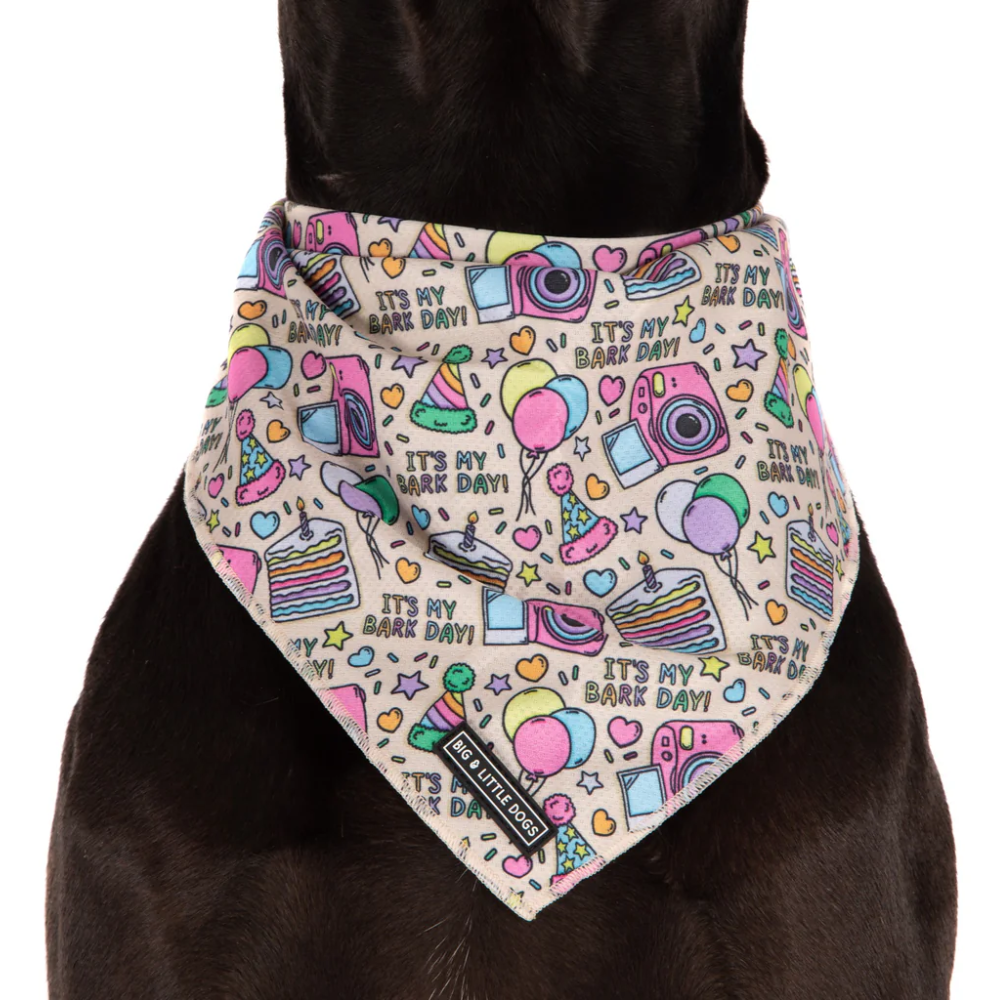 Big and Little Dogs it's my barkday bandana