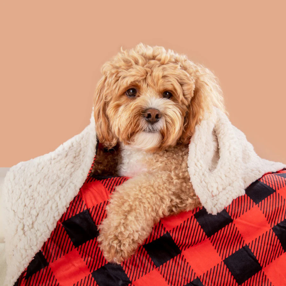 Big and Little Dogs plush pet blanket - Plaid to the bone