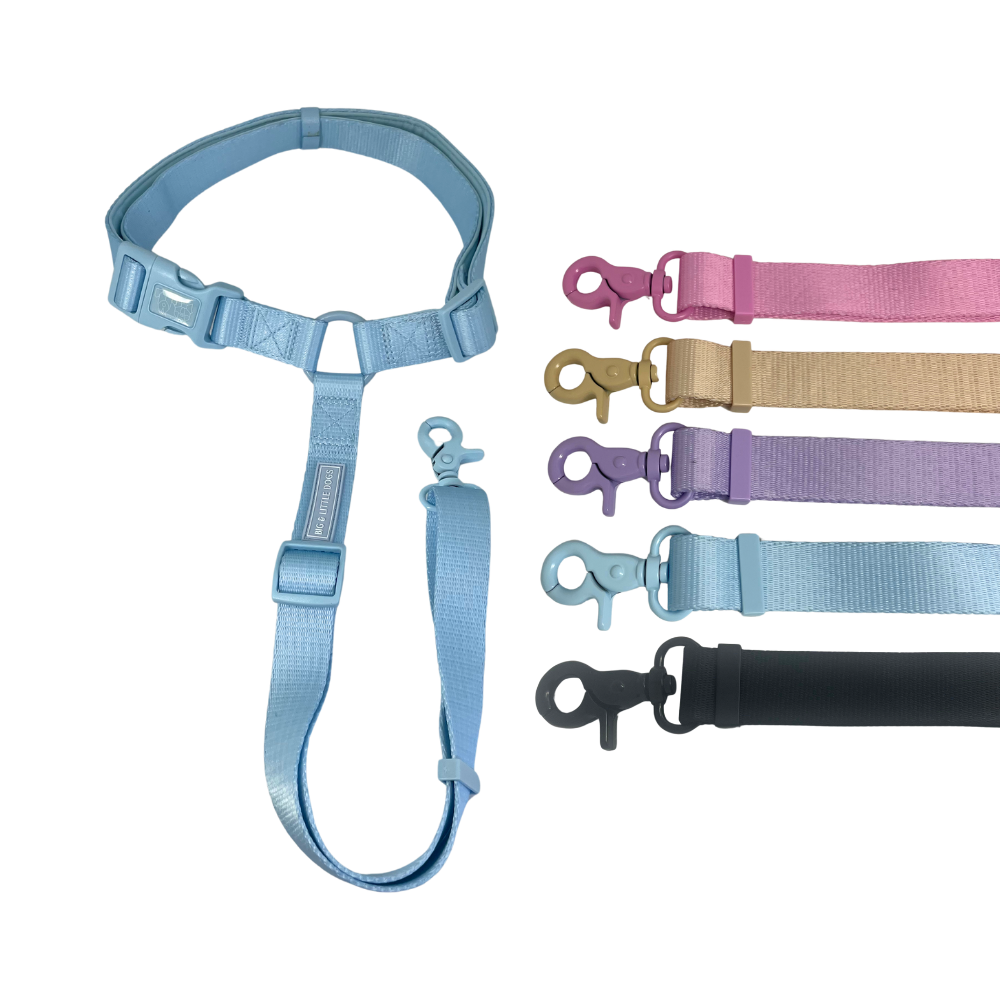 Big & Little Dogs premium car restraints - Plain colours