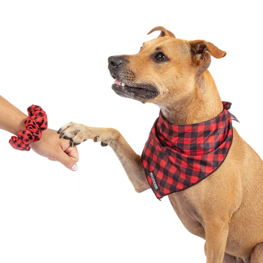 Big and Little Dogs hair scrunchie - Plaid to the bone