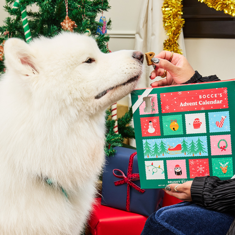 Bocce's Bakery dog treats advent calendar