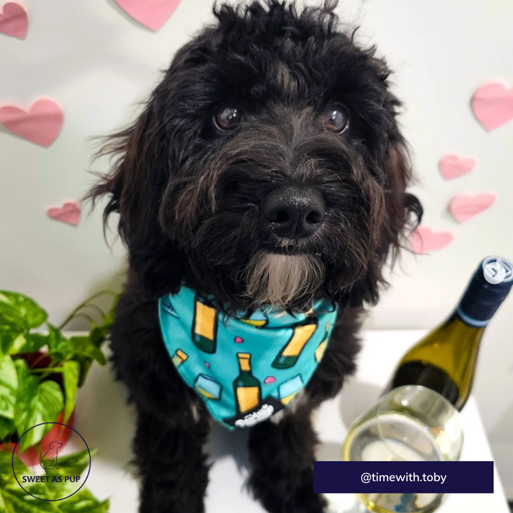 It's A Dog Vibe bandana - Wine is fine