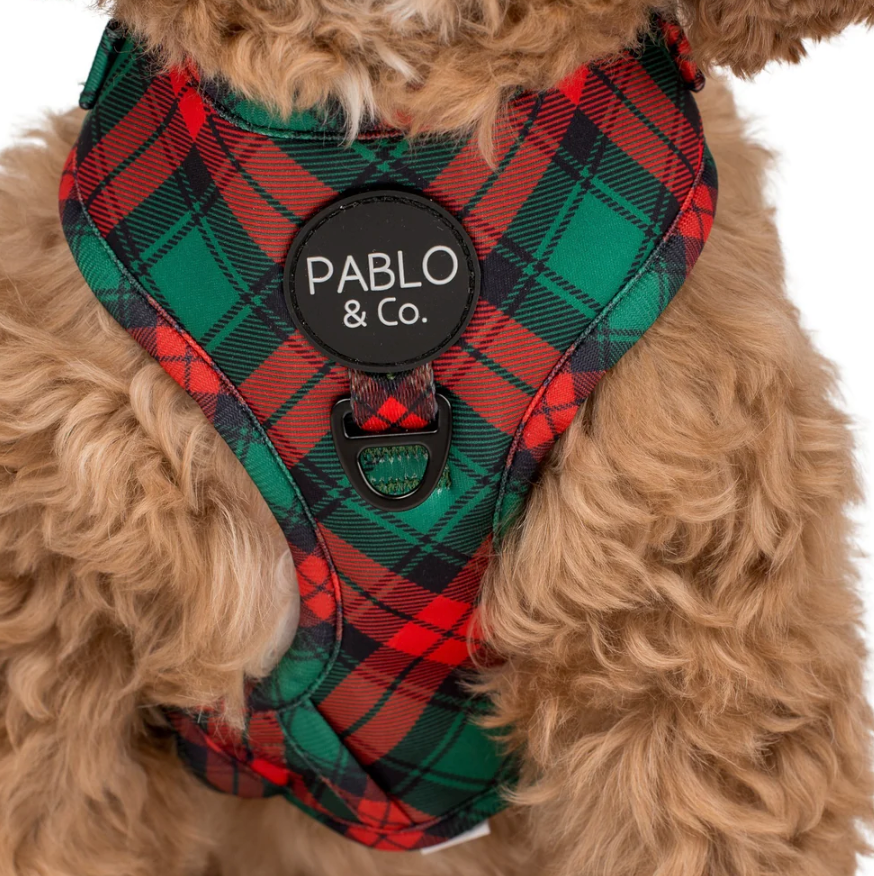 Pablo & Co dog adjustable harness - Winston plaid