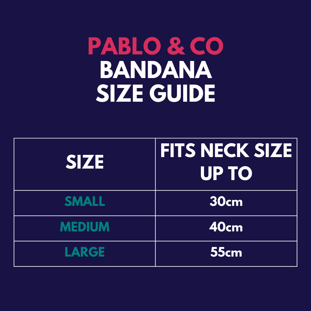 Pablo & Co bandana - Size guide