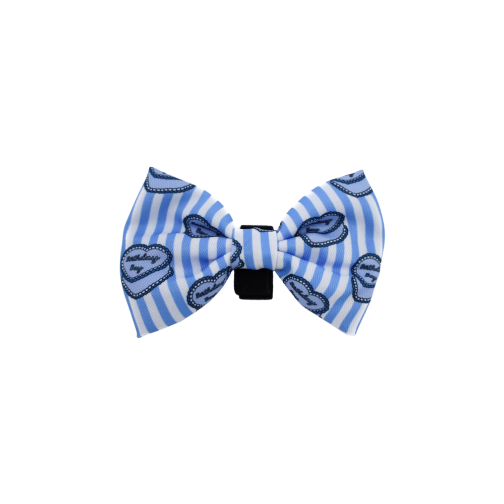 Pablo & Co birthday boy dog bow tie