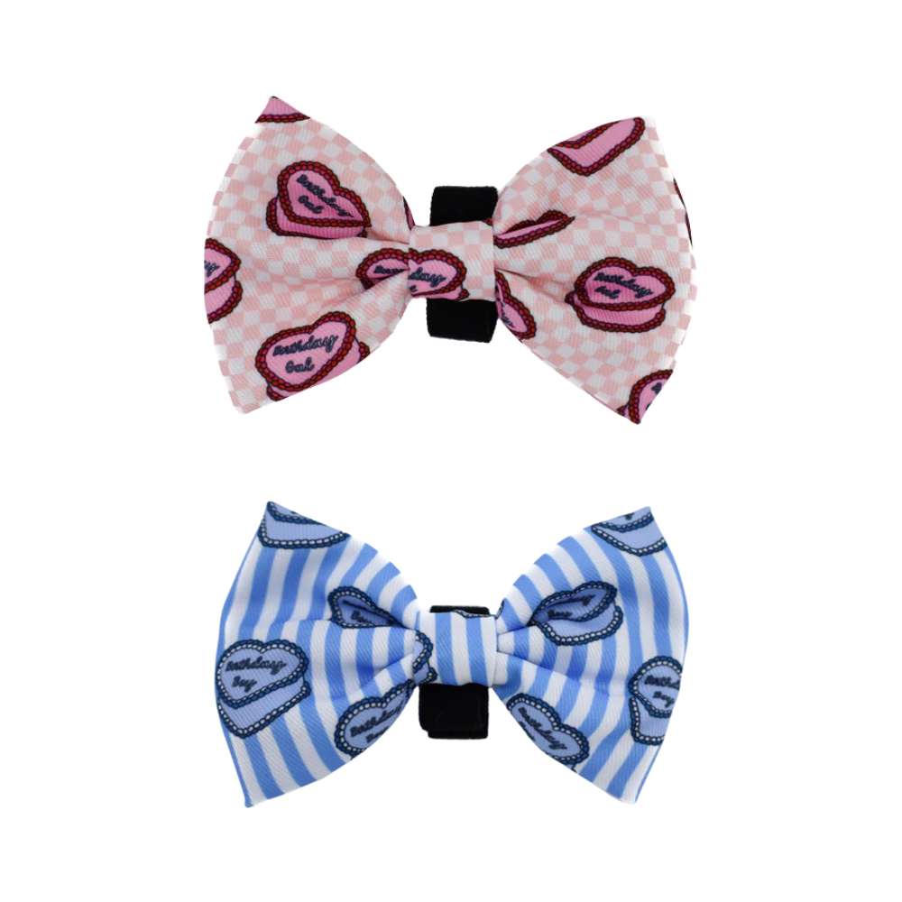 Pablo & Co birthday gal/boy dog bow tie