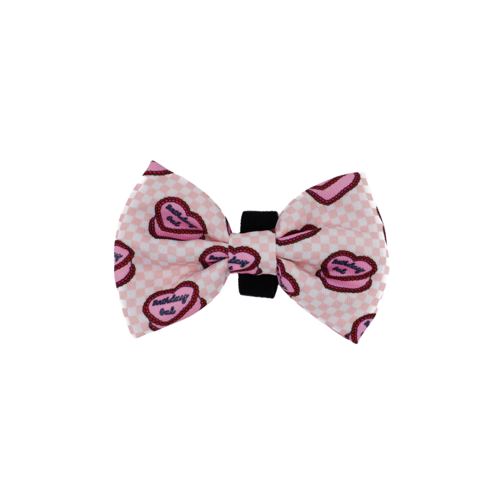 Pablo & Co birthday gal dog bow tie