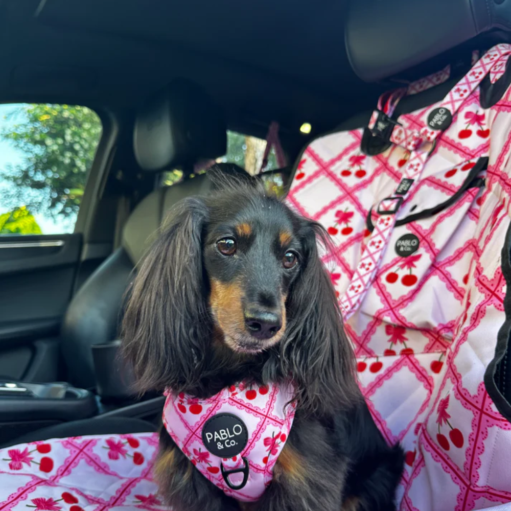 Pablo and Co headrest car restraint - Ma cherie