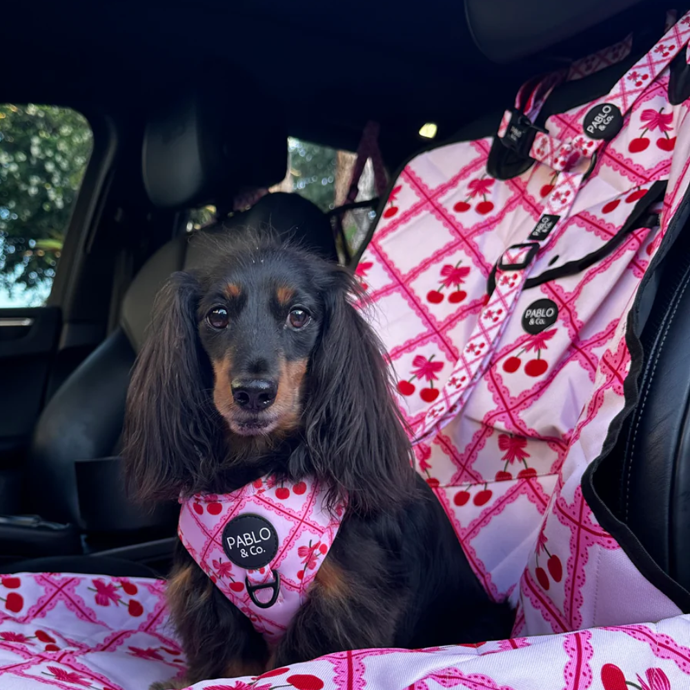 Pablo and Co headrest car restraint - Ma cherie