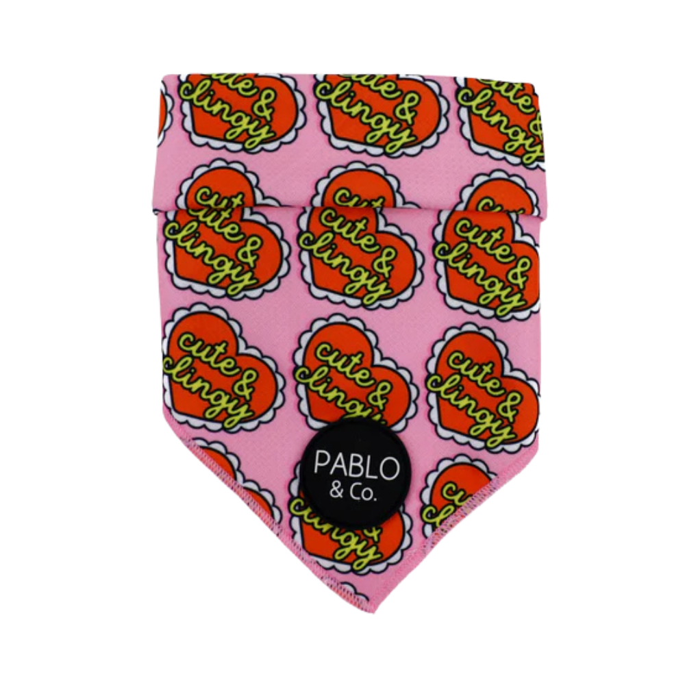 Pablo & Co cute & clingy hearts dog bandana