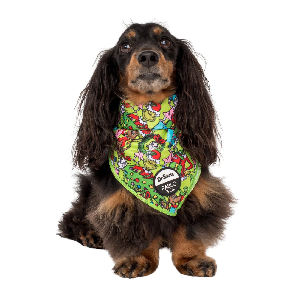 Pablo & Co Dr Seuss Who-ville dog bandana