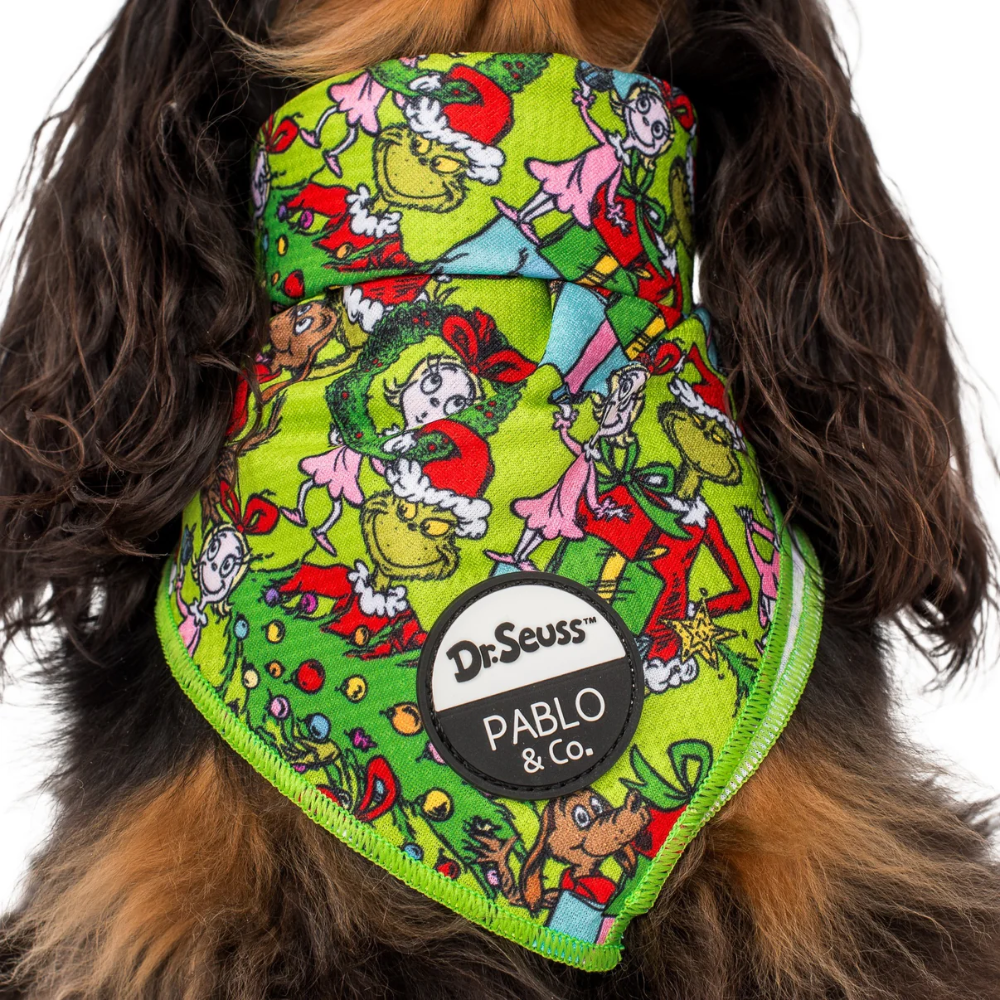 Pablo & Co Dr Seuss Who-ville dog bandana