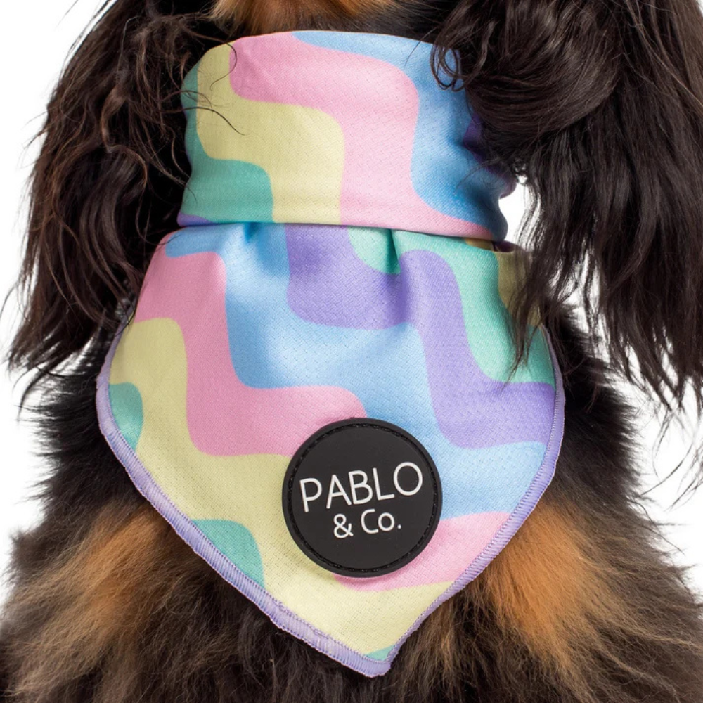 Pablo & Co pastel swirls dog bandana