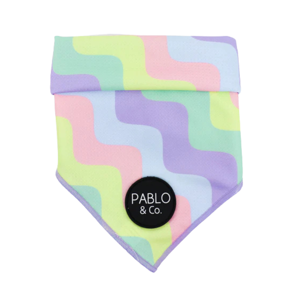 Pablo and Co pastel swirls dog bandana