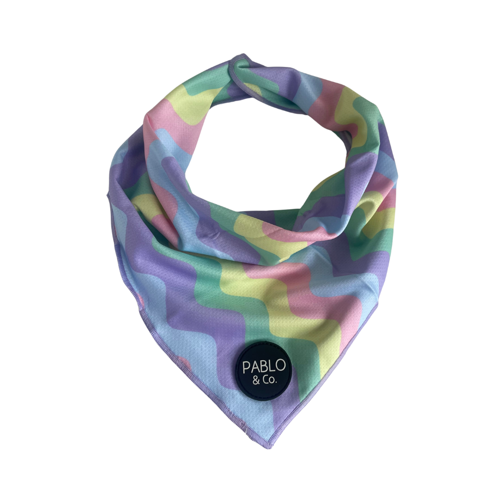 Pablo & Co pastel swirls dog bandana