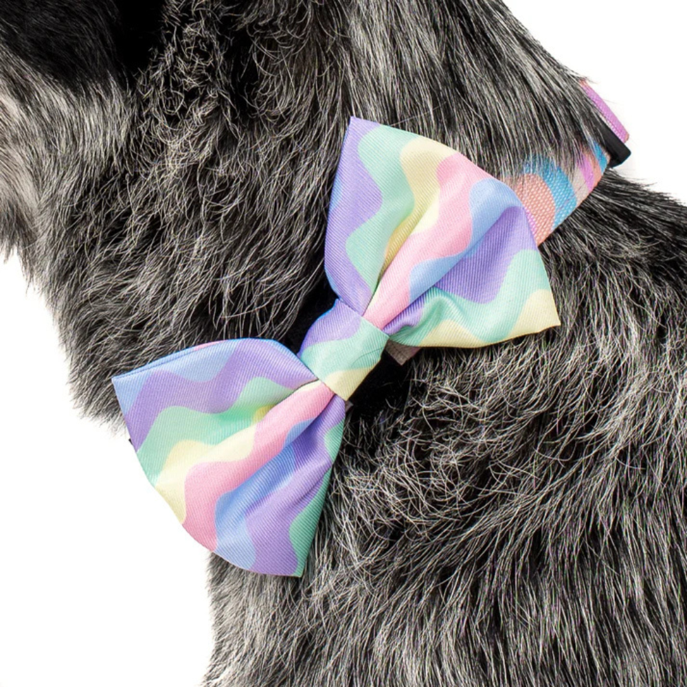 Pablo and Co pastel swirls dog bow tie