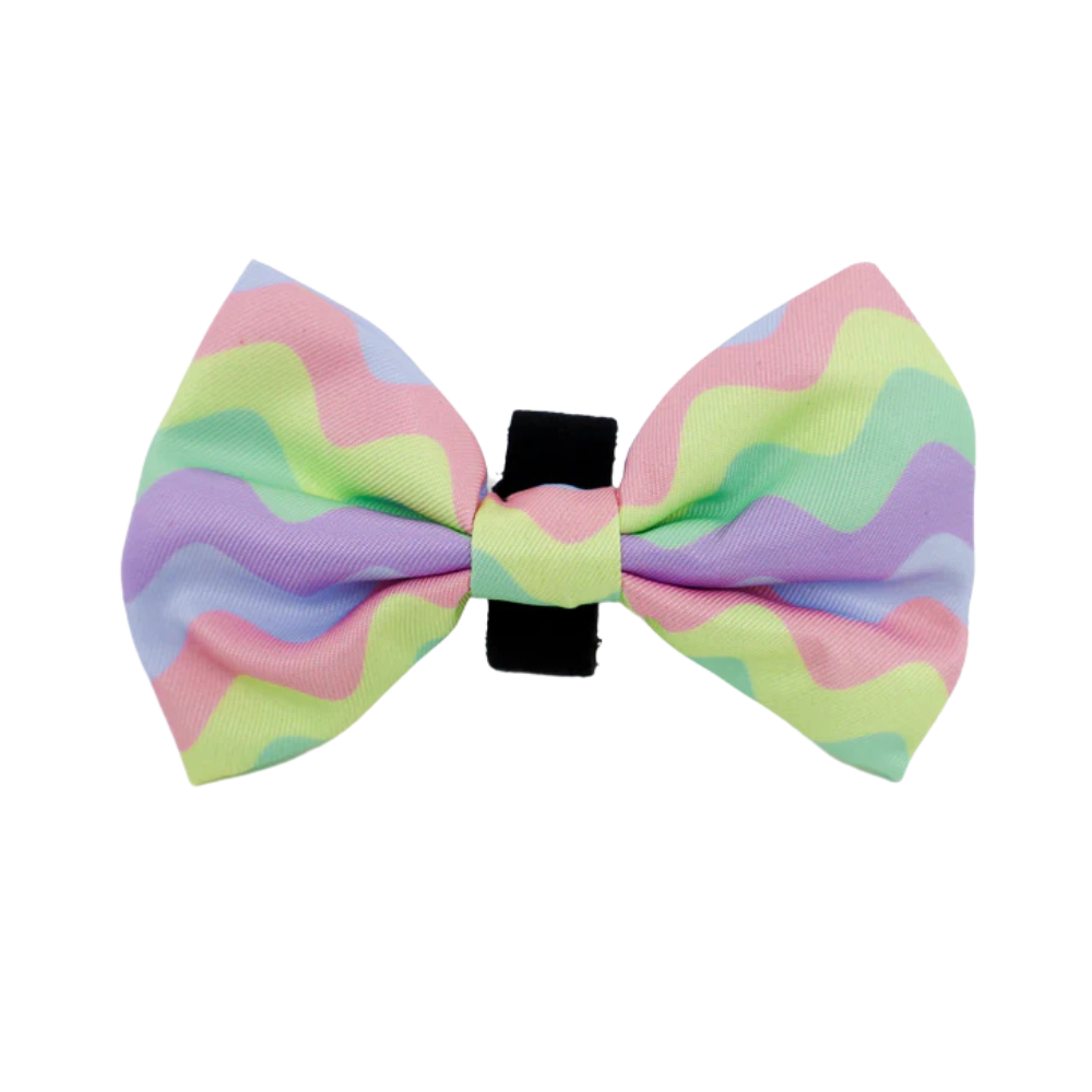 Pablo and Co pastel swirls dog bow tie