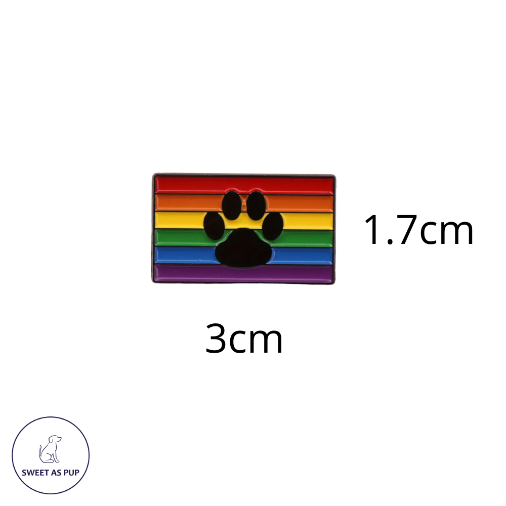 Pride paws rainbow pin