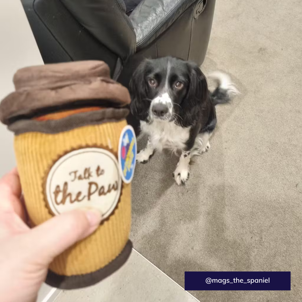 P.L.A.Y. Pup Cup Café Latte To Go Dog Toy