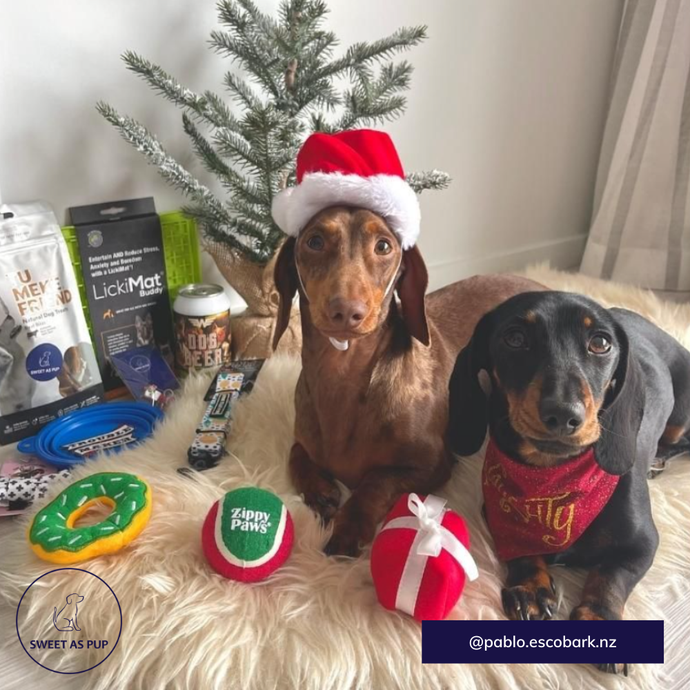 Santa paws mystery bag for dogs