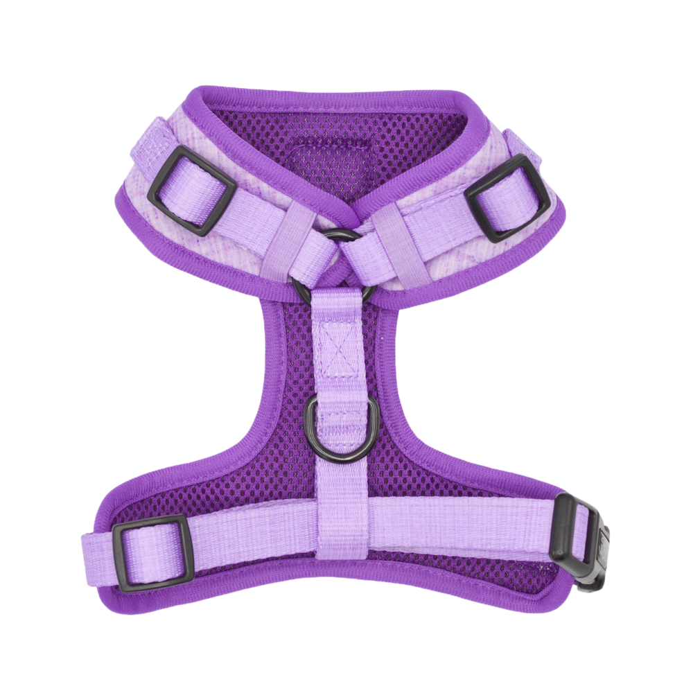 Sassy Woof adjustable dog harness - Aurora