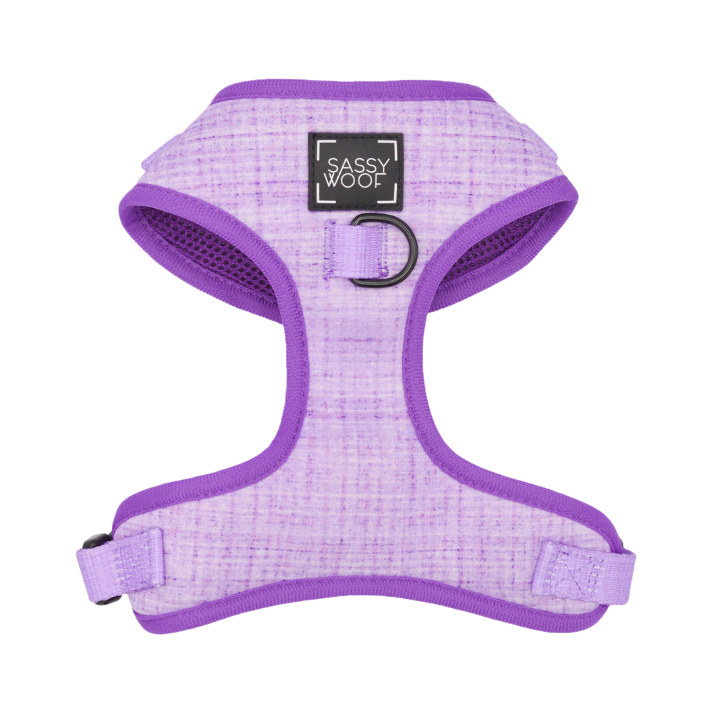 Sassy Woof adjustable dog harness - Aurora