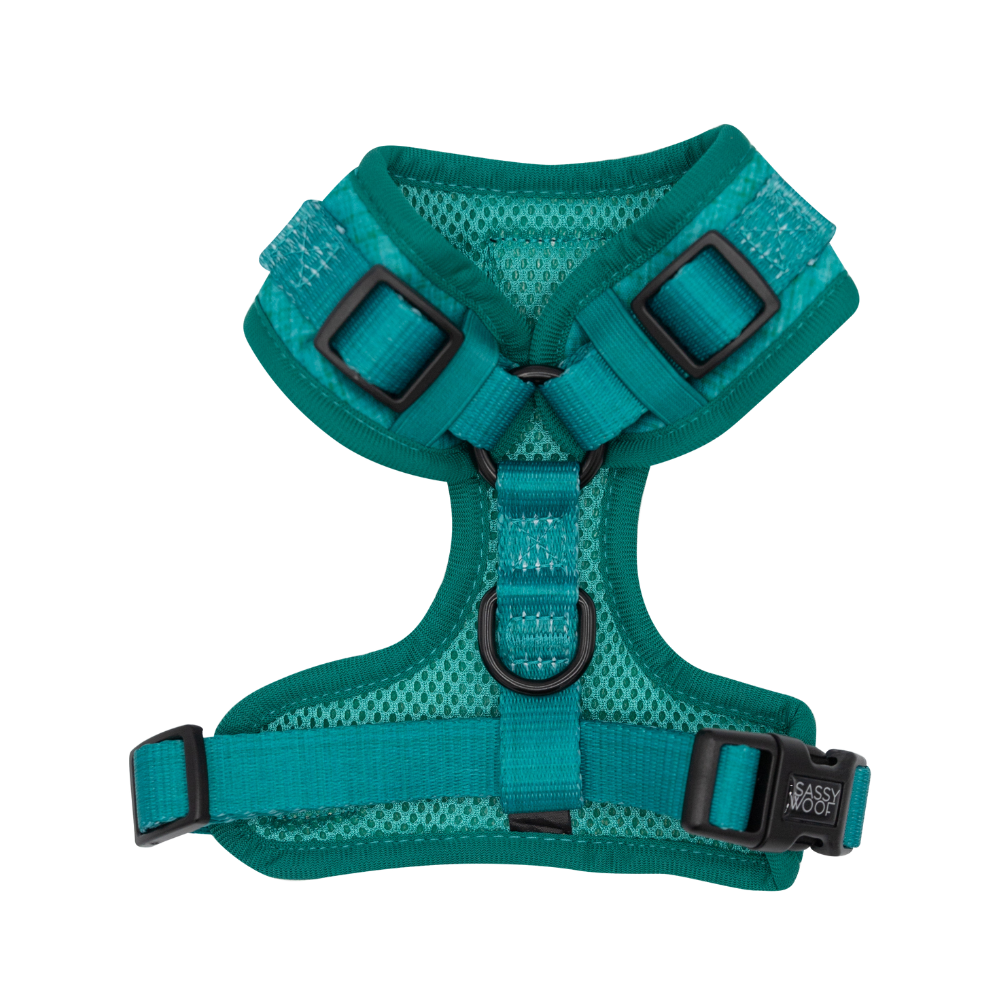 Sassy Woof adjustable dog harness | Napa