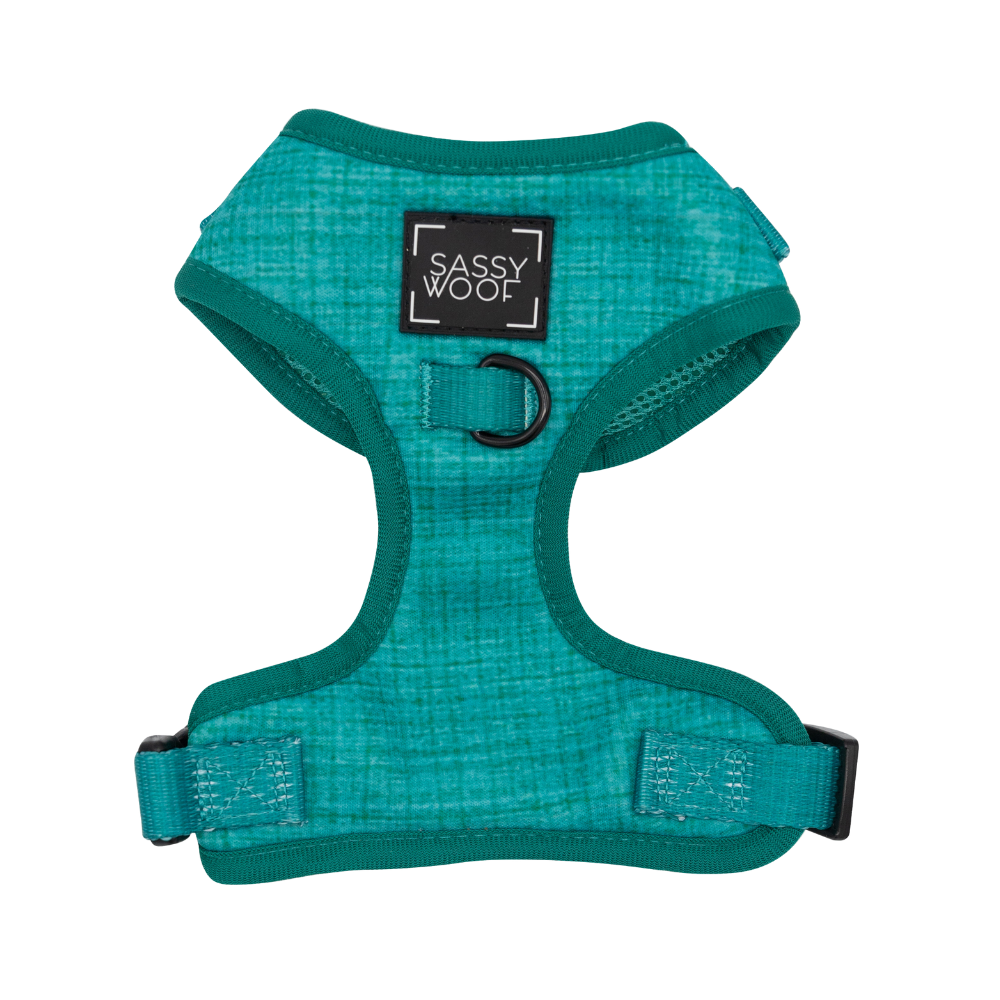 Sassy Woof adjustable dog harness | Napa