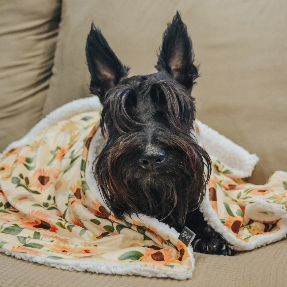 Sassy Woof dog blanket - Sunflower dreams