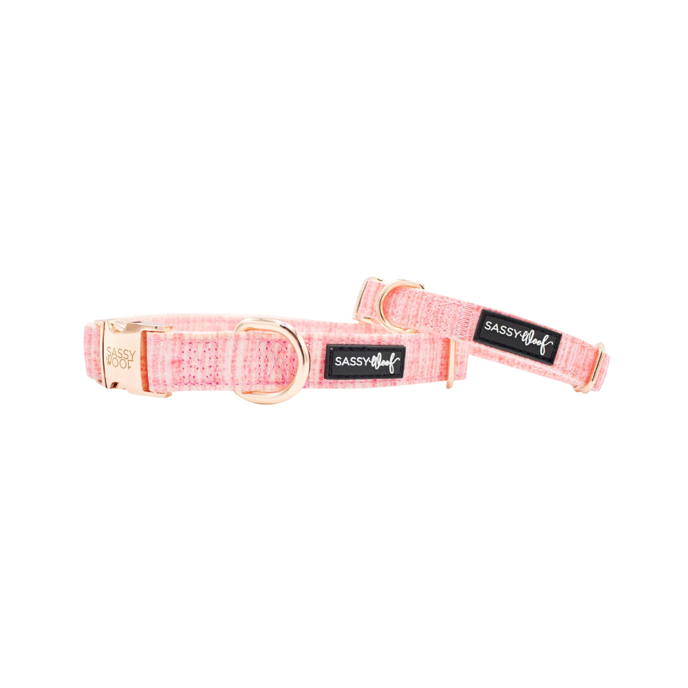 Sassy Woof dog collar - dolce rose