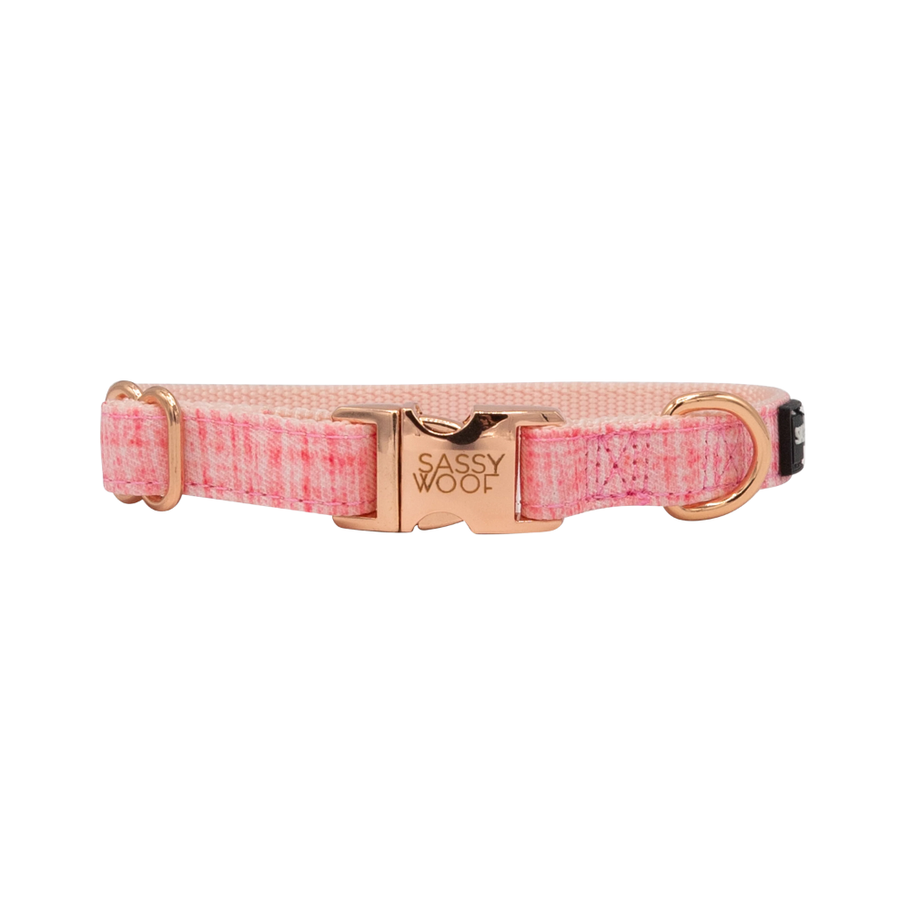 Sassy Woof dog collar - dolce rose