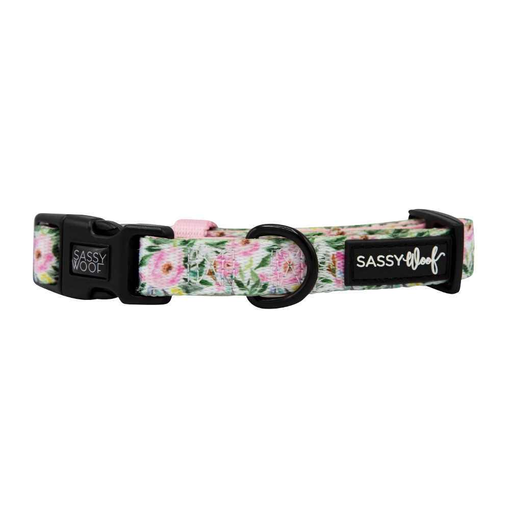 Sassy Woof dog collar - Magnolia