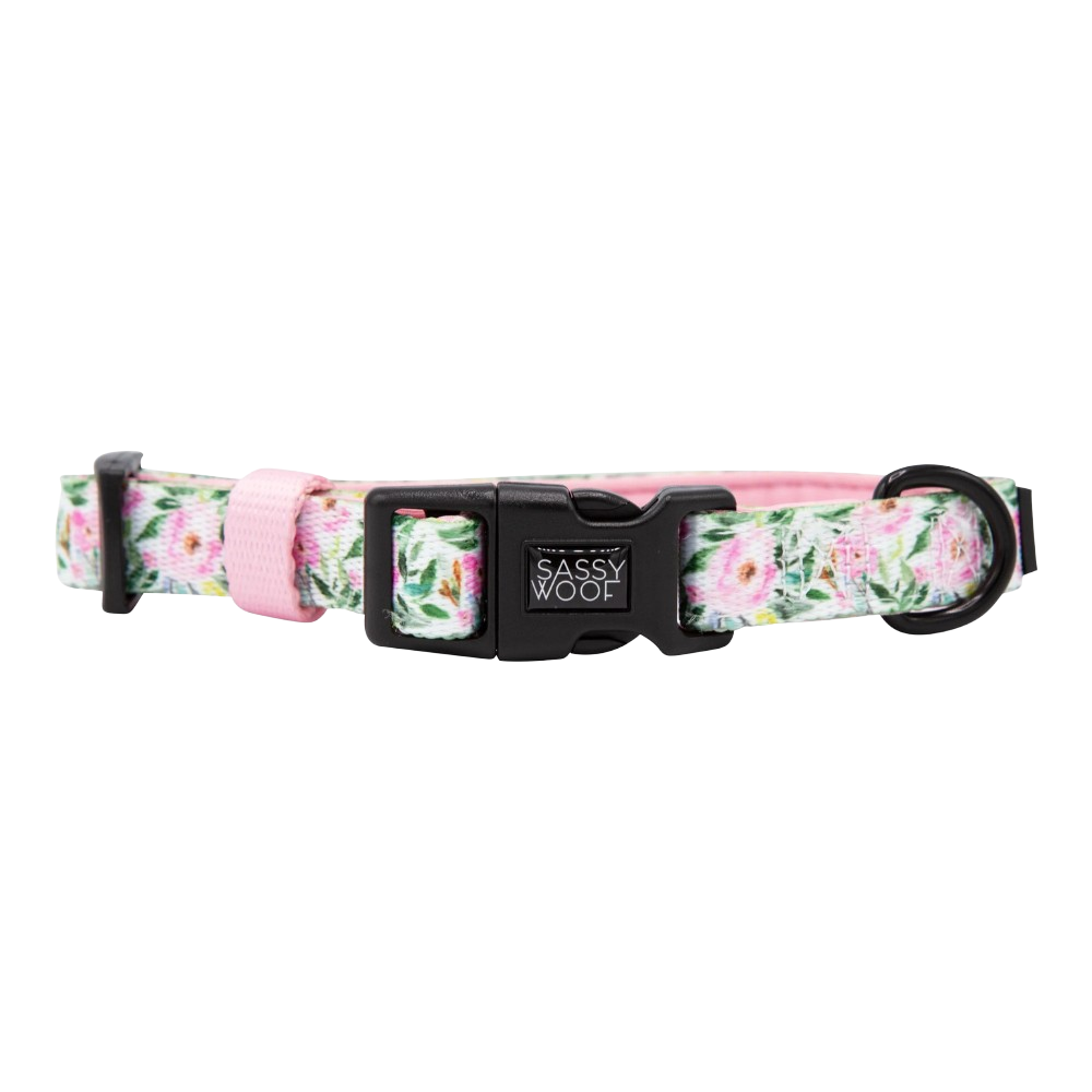 Sassy Woof dog collar - Magnolia