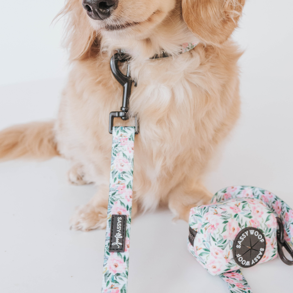 Sassy Woof dog leash - Magnolia