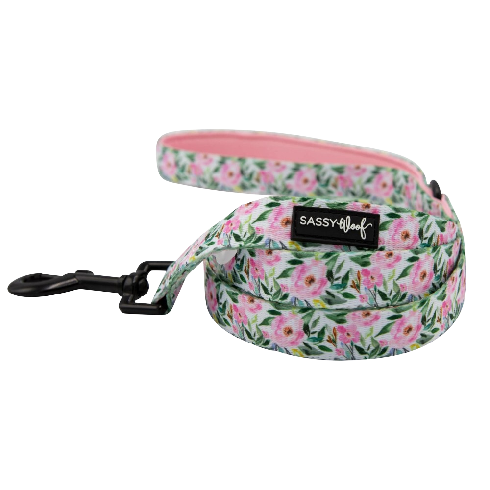 Sassy Woof dog leash - Magnolia