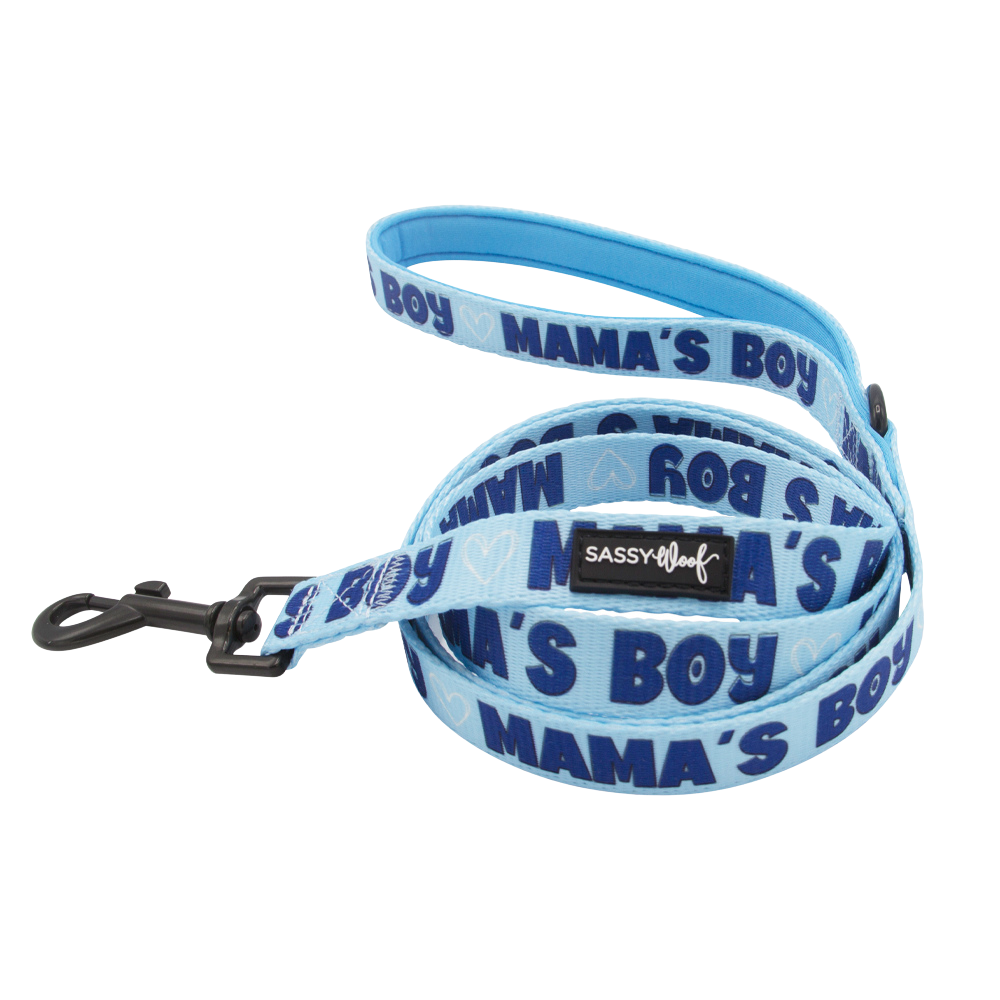 Sassy Woof dog leash - Mama's boy