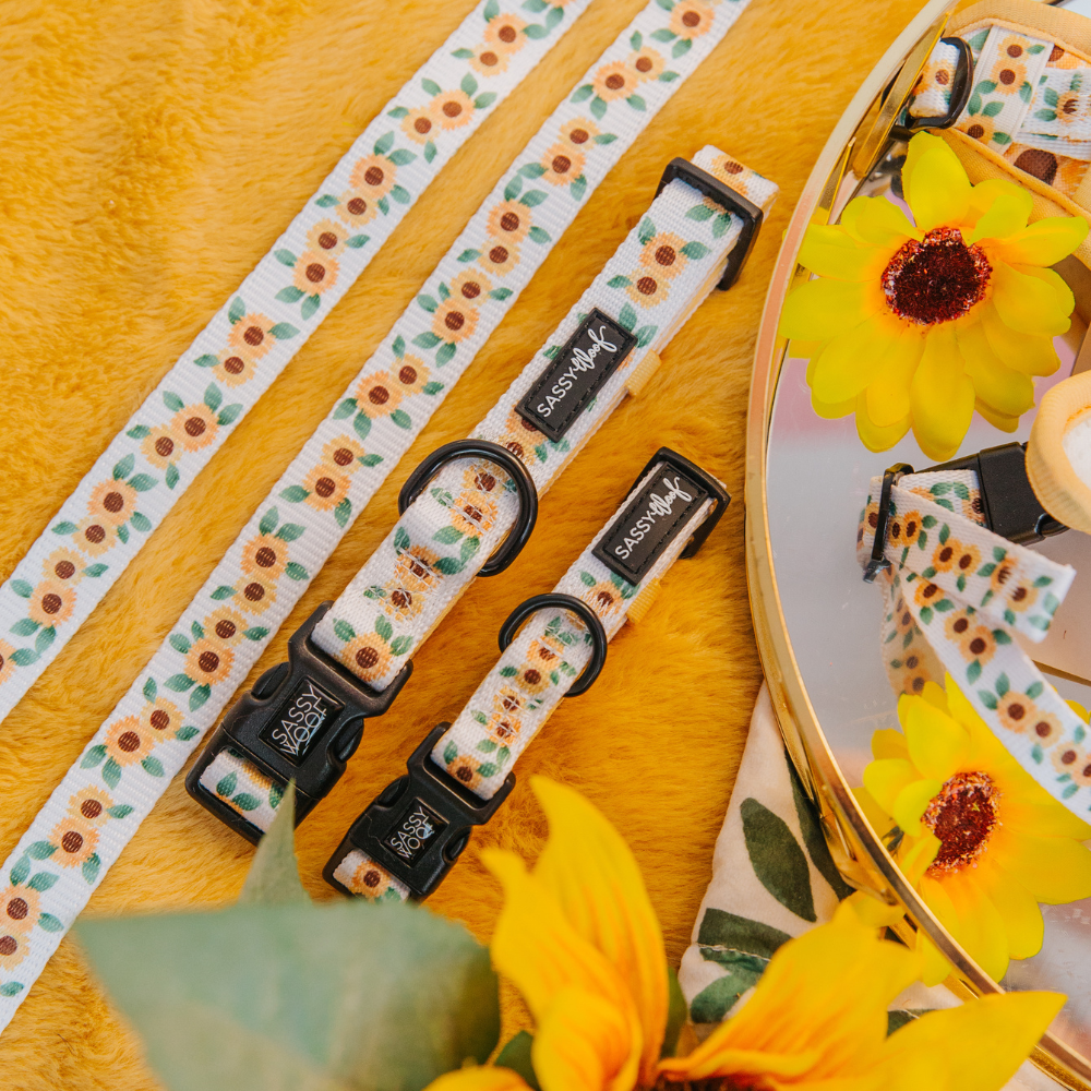 Sassy Woof dog leash - Sunflower dreams