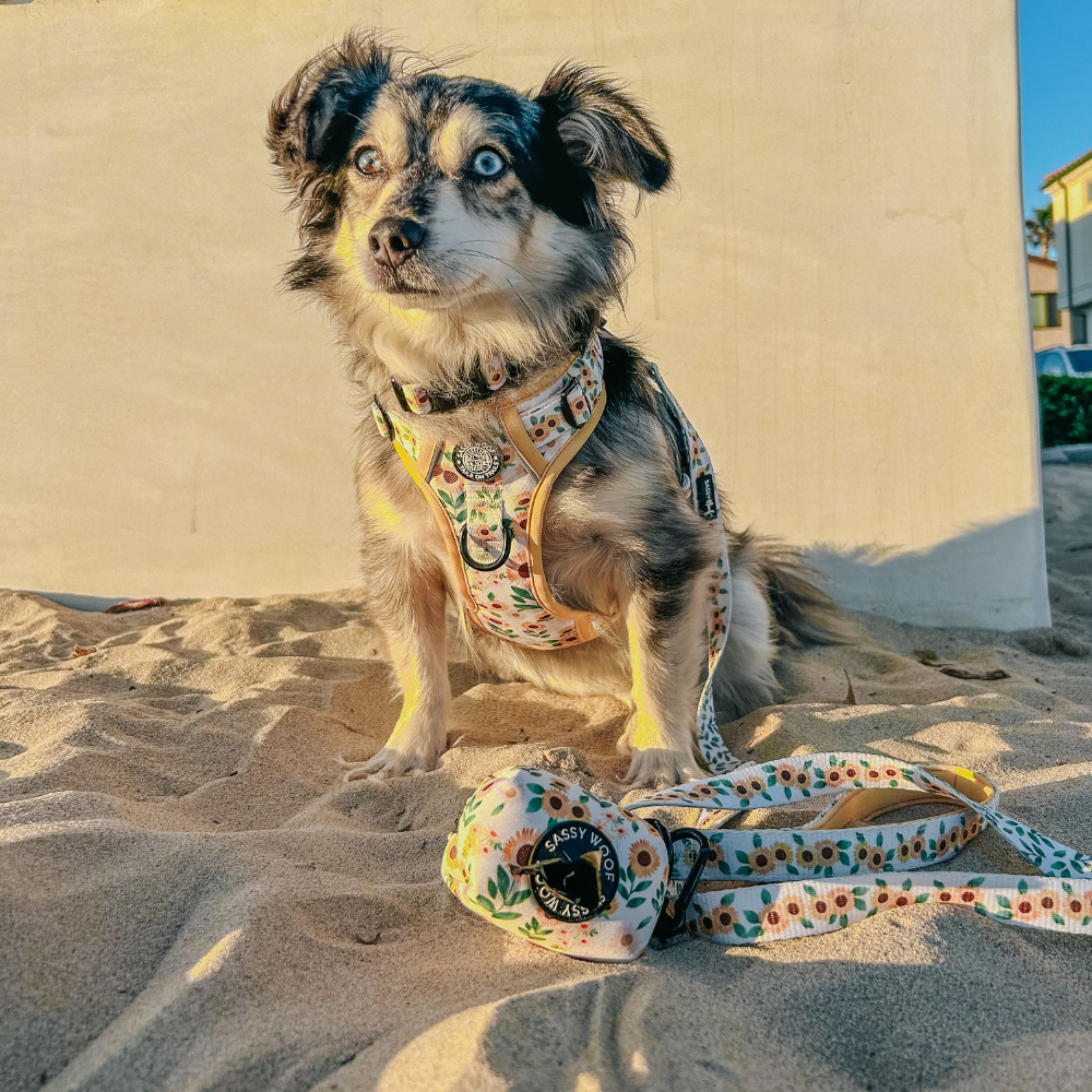 Sassy Woof dog waste bag holder - Sunflower dreams