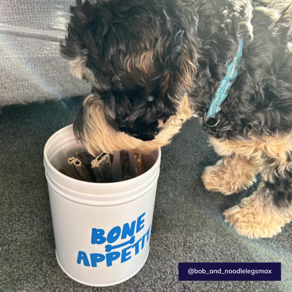 Bone appetit treat tin